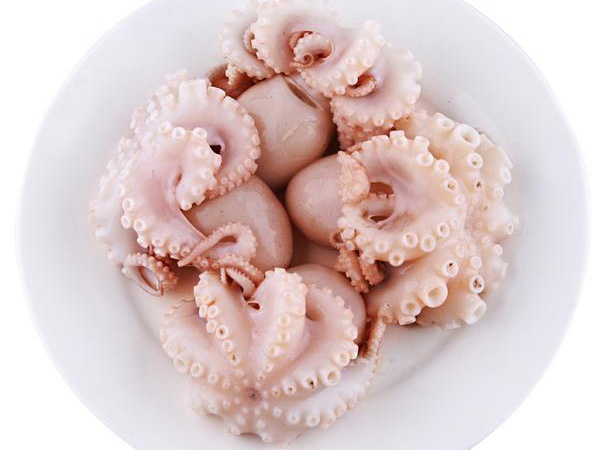 小八爪魚
